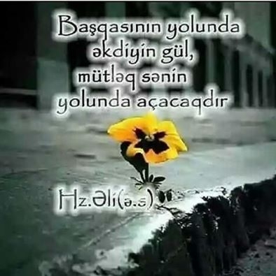 Sədəqə ancaq maddi olmalıdırmı?