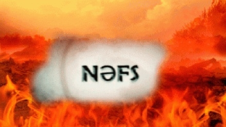 Peğəmbərin əsas hədəfi nəfsin saflaşdırılması.